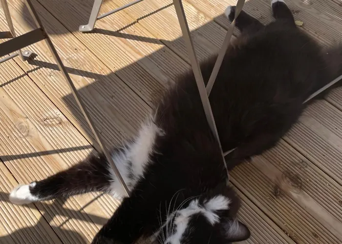 L'annexe アミアン