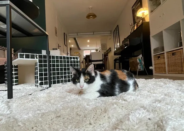 L'annexe 3* アミアン